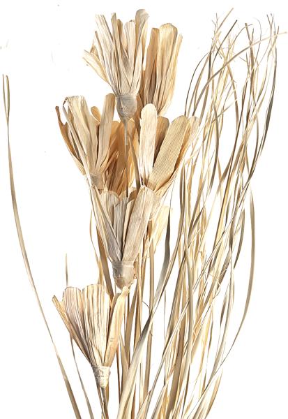 Eglo trockenblume 100cm 428051 beige - Eglo-428051-9008606258741-02.jpg