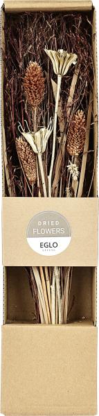 Eglo trockenblume 37cm 428055 gold - Eglo-428055-9008606258789