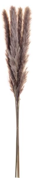 Eglo trockenblume 60cm 428058 braun - Eglo-428058-9008606258819