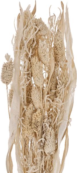 Eglo trockenblumen caraquet 45cm 428071 beige - Eglo-428071-9008606266791-02.jpg