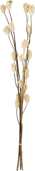 Eglo trockenblume senneterre 428166 grün - Eglo-428166-9008606282159