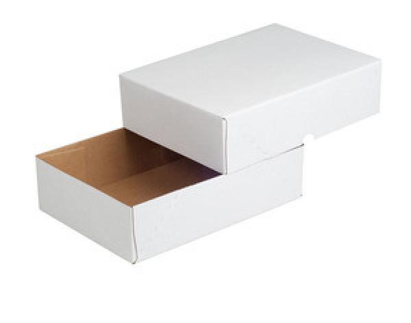 Elco paperbox pac-it 300x220x45mm 74565.12 weiss 5 stück - Elco-74565.12-7610425392609-02.jpg