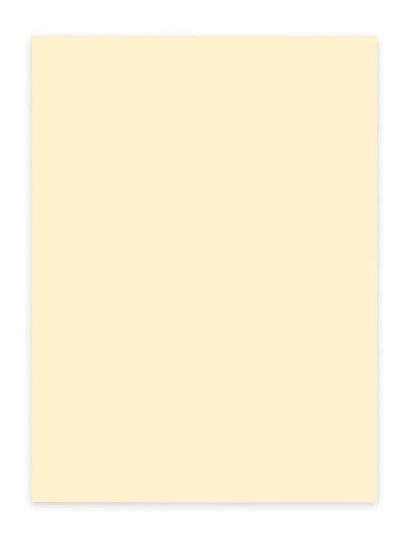 Elco büropapier color a4 74616.41 80g, hellchamois 100 blatt - Elco-7461641-7610425433104