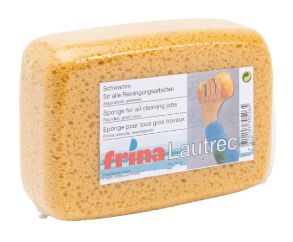 Frina schwamm kunststoff 16x11x6cm 905.26 gelb - Frina-905.26-7610197305265-1.jpg