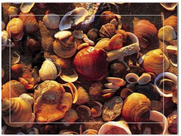Haschemi doppelkarten-box 104 104 muscheln - Haschemi-104-9783936222036-02.jpg