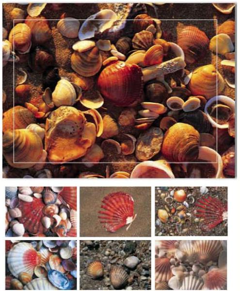 Haschemi doppelkarten-box 104 104 muscheln - Haschemi-104-9783936222036