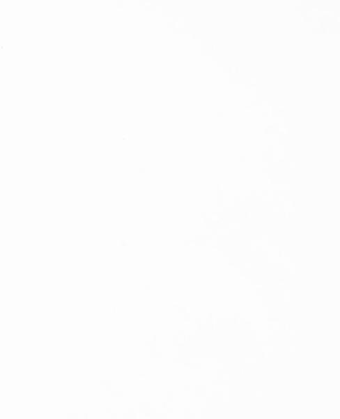 I am creative seidenpapier 4073.01 50x70cm, weiss - I-am-creative-4073.01-7611983202102-02.jpg