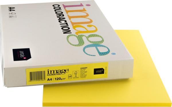 Image coloraction kopierpapier canary a4 266647 kanariengelb, 120g 250 blatt - Image-coloraction-266647-7611115001061