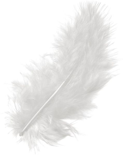 Knorr prandell marabufedern 10cm 6619002 weiss 15 stück - Knorr-prandell-6619002-4011643025851