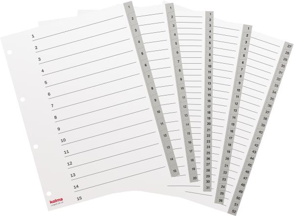 Kolma register longlife a4 19.120.03 grau 1-20 - Kolma-19.120.03-7611967190074-02.jpg