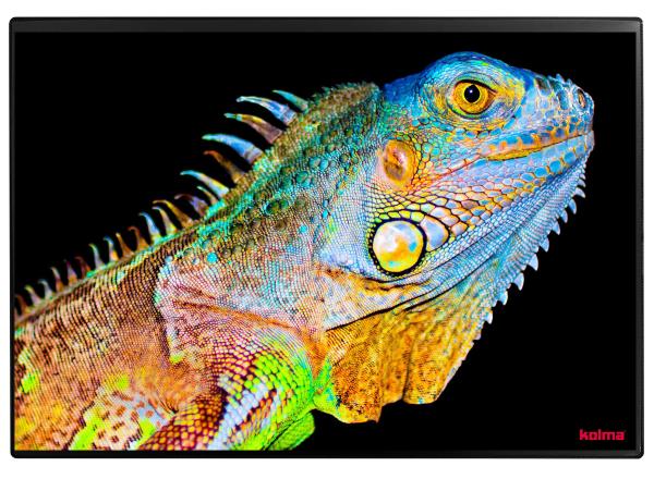 Kolma schreibunterlage 35.557.20 chameleon 50x34cm - Kolma-3555720-7611967350492