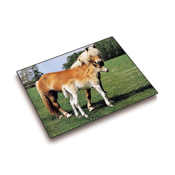 LÄufer schreibunterlage 46587 pferde 53x40cm - Laeufer-46587-4006677465872