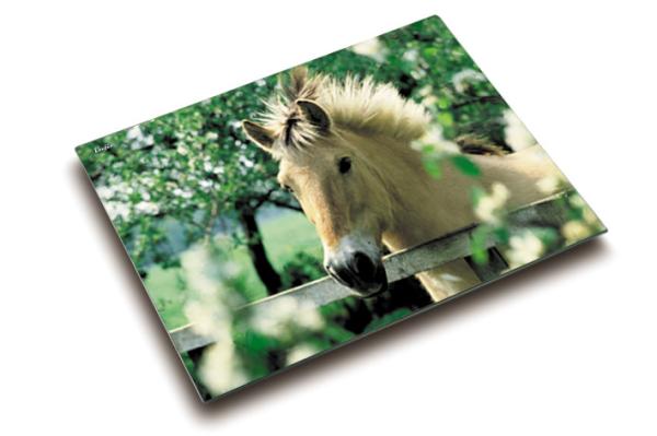 LÄufer schreibunterlage 46640 pferd 53x40cm - Laeufer-46640-4006677466404