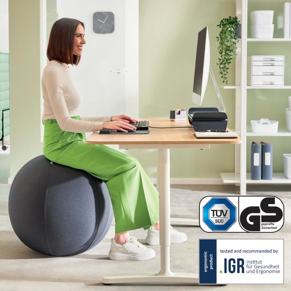 Leitz sitzball ergo active 75cm 6543-00-89 grau - Leitz-6543-00-89-4002432134793-07.jpg