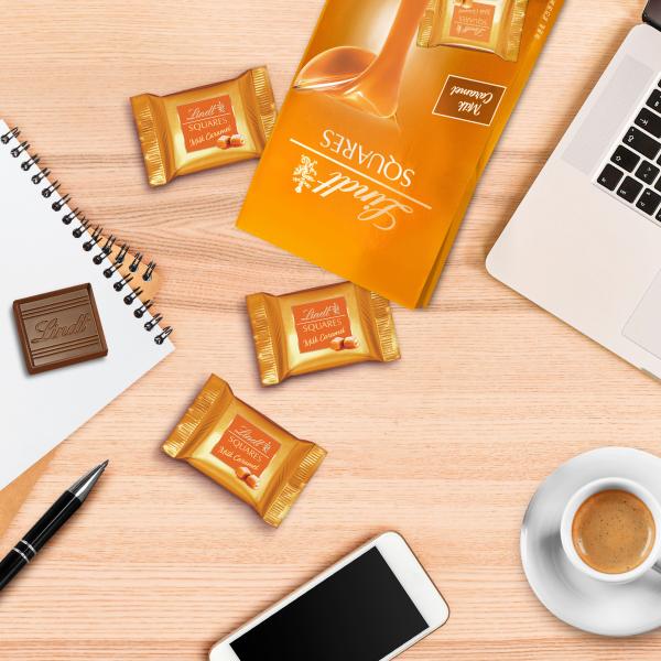 Lindt squares pralinés milk-caramel 461170 thekensteller 750g - Lindt-461170-7610400611695-04.jpg