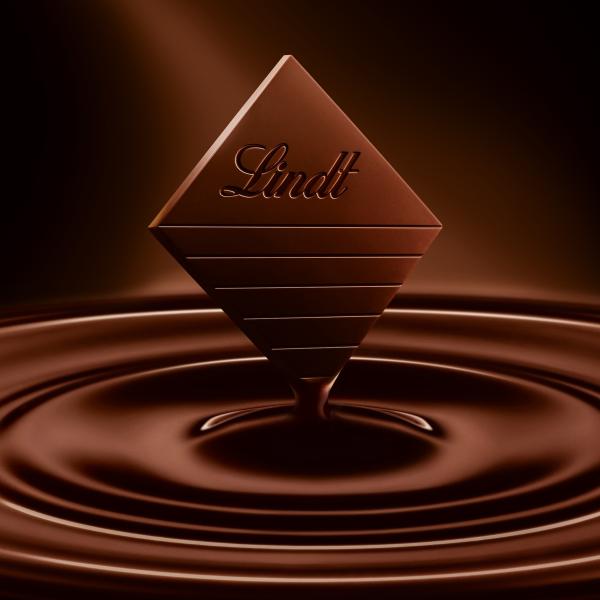 Lindt excellence mini dunkel assort 472751 thekensteller 1000g - Lindt-472751-7610400611787-06.jpg
