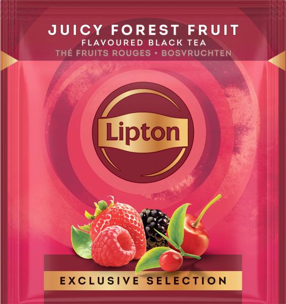 Lipton waldfrüchte tee 4071217 25 pyramiden - Lipton-4071217-8720608020584-02.jpg