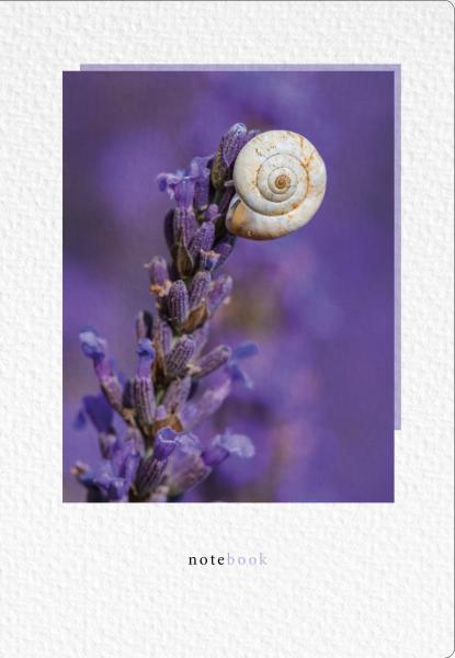 Natur verlag notizbuch crushpaper a5 11003n lavendel foto, dotted - Natur-verlag-11003n-7640140110035