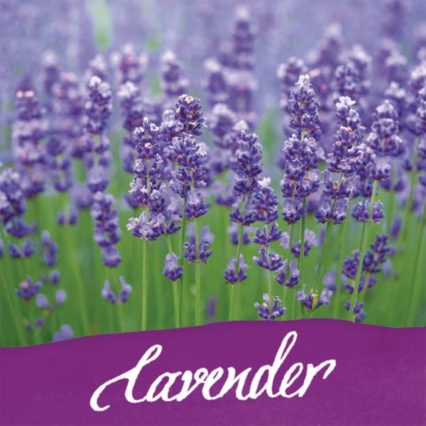 Online tintenglas 15ml 17064/3 dufttinte lavender, lilac - Online-17064-3-4014421170644-03.jpg