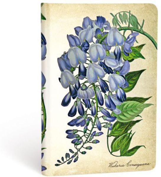 Paperblanks notizbuch glyzinie pb3571-8 mini, liniert 176 seiten - Paperblanks-pb3571-8-9781439735718