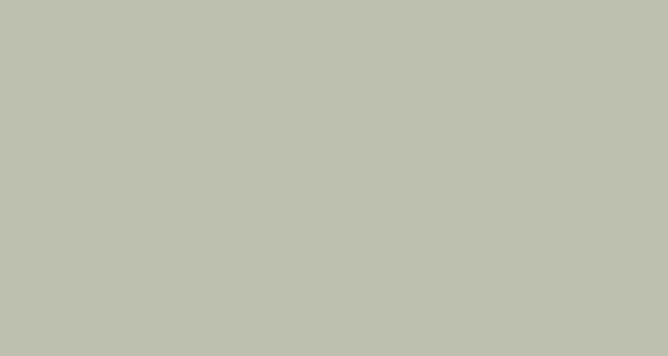 Papyrus tonzeichenpapier a3 88020044 130g, silbergrau 100 blatt - Papyrus-88020044-7612285119280