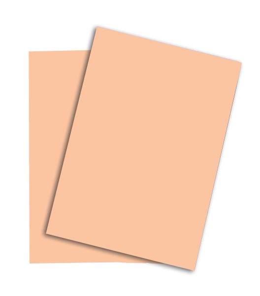 Papyrus rainbow papier fsc a3 88042500 80g, lachs 500 blatt - Papyrus-88042500-7318761038150