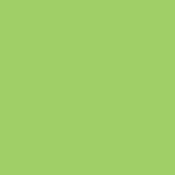 Papyrus rainbow papier fsc a4 88042652 80g, grün 500 blatt - Papyrus-88042652-7318761039775-03.jpg