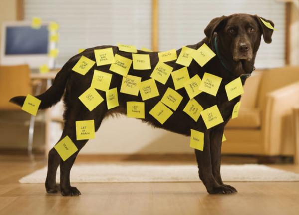 Post-it würfel 76x76mm 636b gelb/450 blatt - Post-it-636b-3134375231626-04.jpg