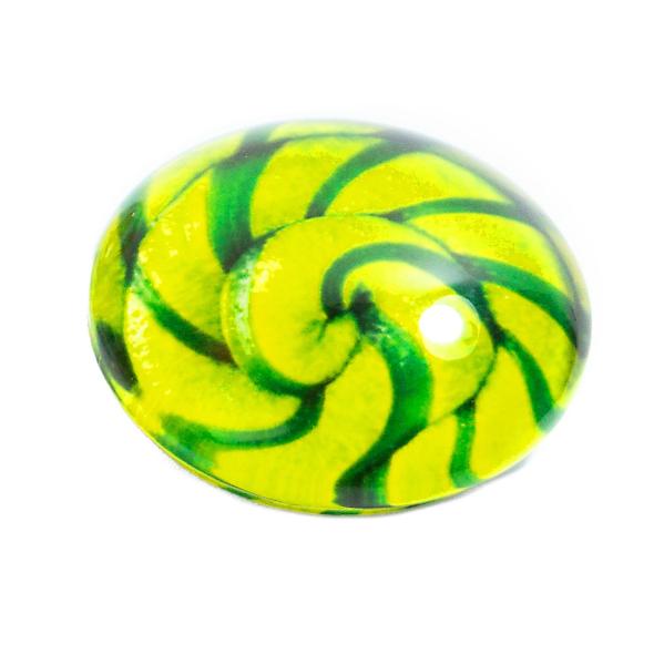 Roost magnet lollipop Ø3.5cm pa-m2041 assortiert - Roost-pa-m2041-7640420952713-02.jpg
