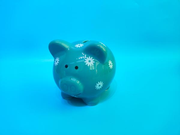 Roost sparkasse 13.5x10.7x11.5cm tg210033hb schwein blau - Roost-tg210033hb-7613532080780
