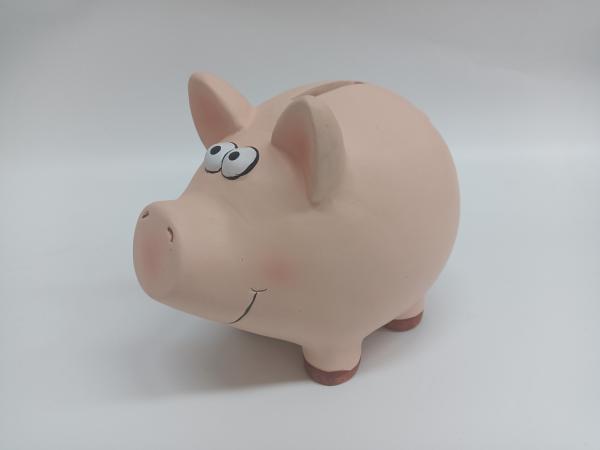 Roost sparkasse schwein tg9080-7.5 18.5x14.3x15.5cm - Roost-tg9080-7.5-7612532057860-03.jpg