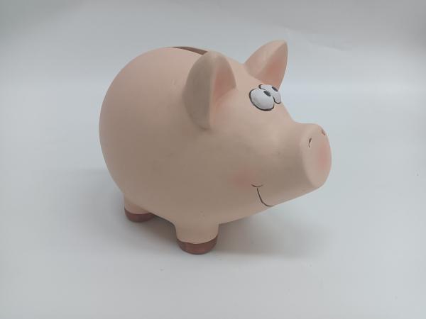 Roost sparkasse schwein tg9080-7.5 18.5x14.3x15.5cm - Roost-tg9080-75-7612532057860