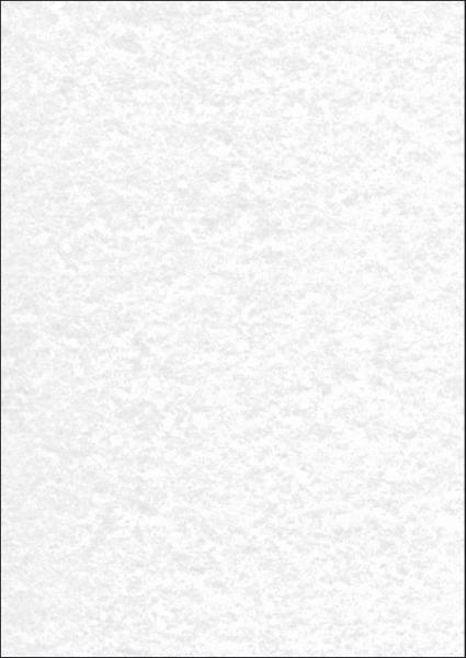 SIGEL Design-Papier A4 DP607 90g, Struktur 100 Blatt