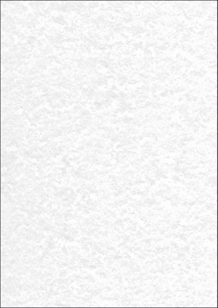 Sigel designpapier a4 dp657 grau, 200g 50 blatt - Sigel-dp657-4004360959127