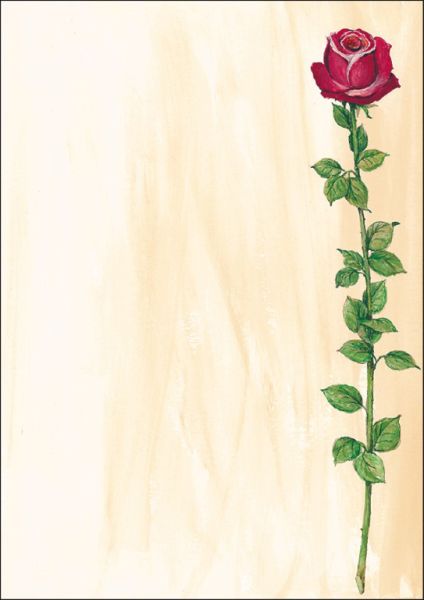 Sigel designpapier a4 dp695 rose bloom, 90g 25 blatt - Sigel-dp695-4004360966620