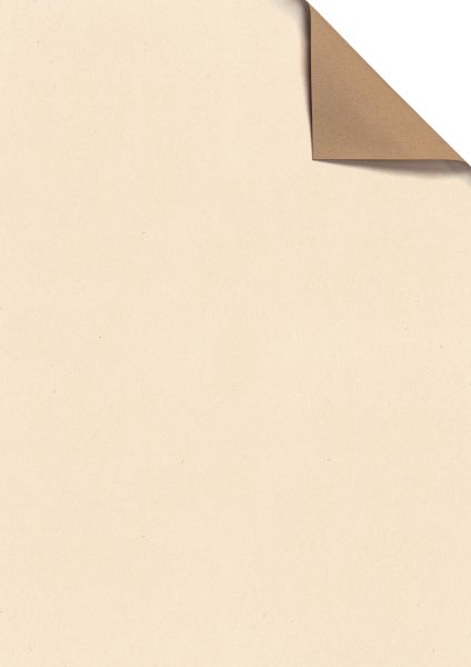 Stewo geschenkpapier uni recycling 2514584750 100x70cm beige fsc - Stewo-2514584750-7630050835494