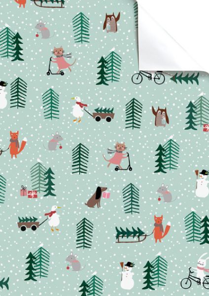 Stewo geschenkpapier josefina 2514590643 70x100cm mint - Stewo-2514590643-7630050829868