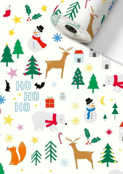 Stewo apparaterollen geschenkpapier 2522536960 rob 0,5x250m - Stewo-2522536960-7630050863954