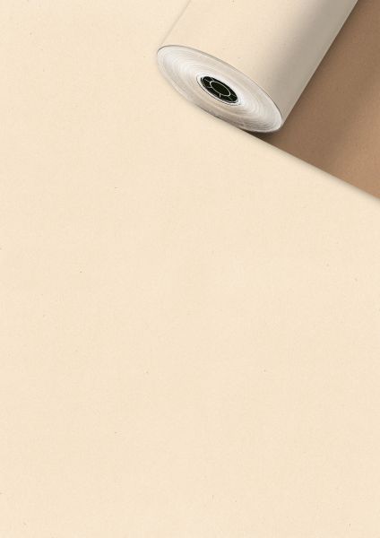 Stewo geschenkpapier uni recycling 2522584750 0,5x250m beige fsc - Stewo-2522584750-7630050836705