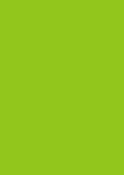 Stewo geschenkpapier uni plain 2528591346 70x200cm grün hell - Stewo-2528591346-7630050824450