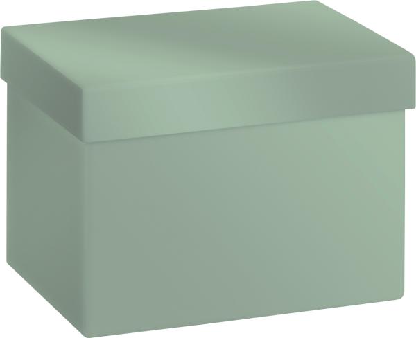 Stewo geschenkbox uni pure 2551516095 salbei 12x16.5x12cm - Stewo-2551516095-7630050886212