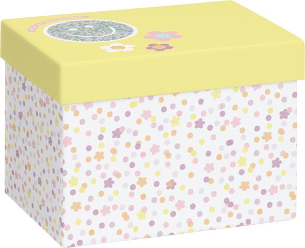 Stewo geschenkbox nea 2551517811 gel 12x16.5x12cm - Stewo-2551517811-7630050886243