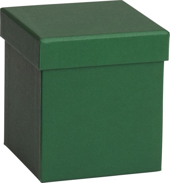 Stewo geschenkbox one colour 2551782690 grün dunkel 11x11x12cm - Stewo-2551782690-7630050845820