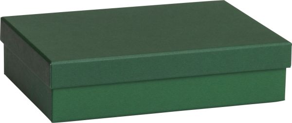 Stewo geschenkbox one colour 2551782692 grün dunkel 16.5x24x6cm - Stewo-2551782692-7630050846049