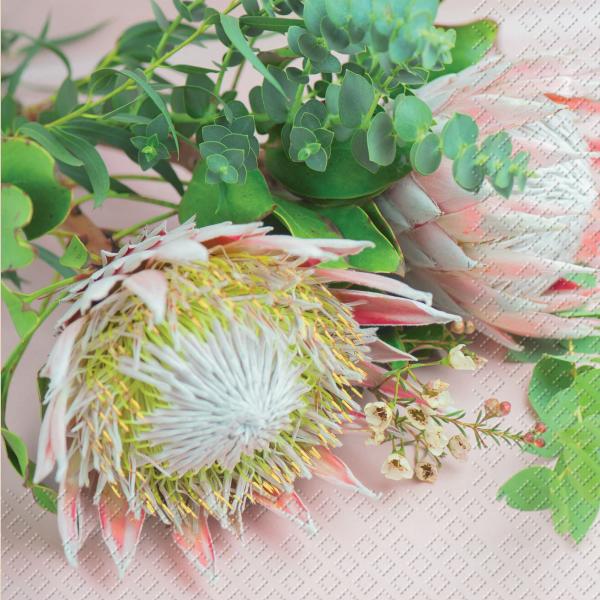 Stewo serivette protea 33x33cm 2572568925 rosa fsc 20 stück - Stewo-2572568925-7630050838235