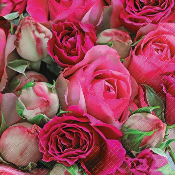Stewo serviette rapsody 33x33cm 2572598229 pink dunkel 20 stück - Stewo-2572598229-7630050820797