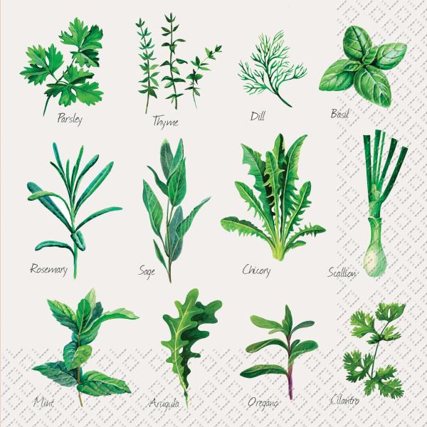 Stewo serviette herb 33x33cm 2572598745 grün 20 stück - Stewo-2572598745-7630050821008