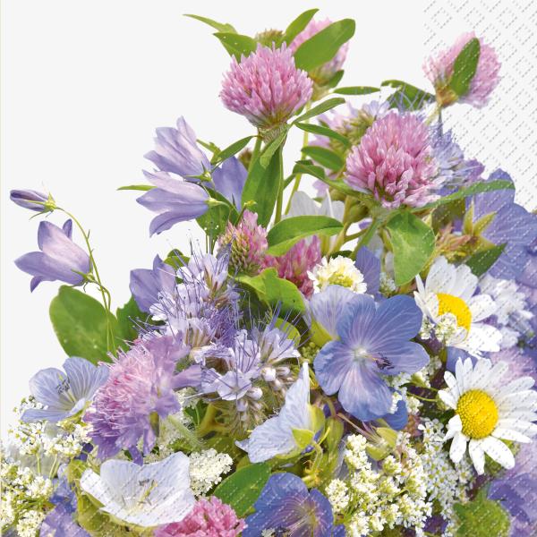 Stewo serviette erika 33x33cm 2572623236 lila hell 20 stück - Stewo-2572623236-7630050800515