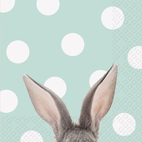 Stewo serviette 33x33cm 2572654643 yon fsc mint 20 stück - Stewo-2572654643-7630021184163