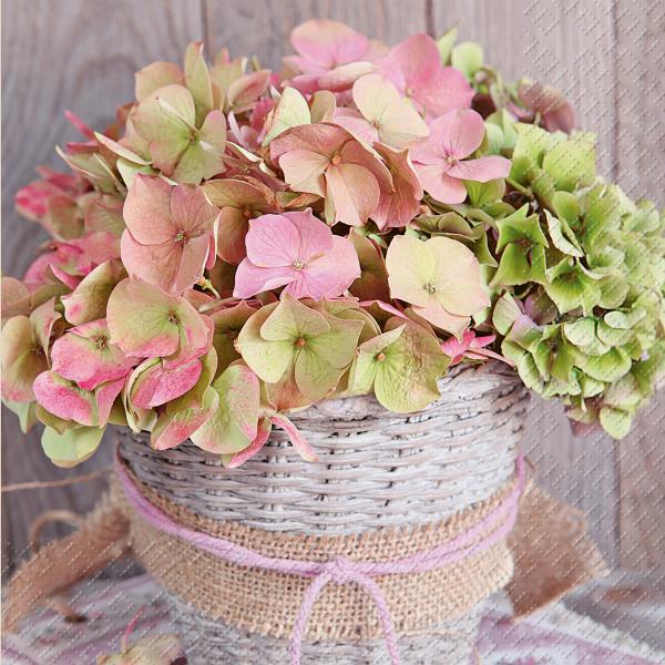 Stewo servietten 33x33cm 2572680936 erla fsc li 20 stück - Stewo-2572680936-7630021164264